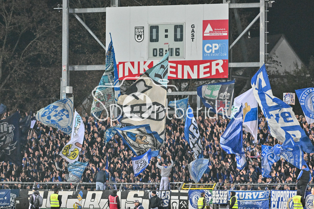 SSV Ulm 1846 Fussball - FC Schalke 04 | Der Gaesteanhang unterstuetzt den FC Schalke / Fans / Ultras / 2. Bundesliga: SSV Ulm 1846 Fussball - FC Schalke 04, Donaustadion am 01.11.2024