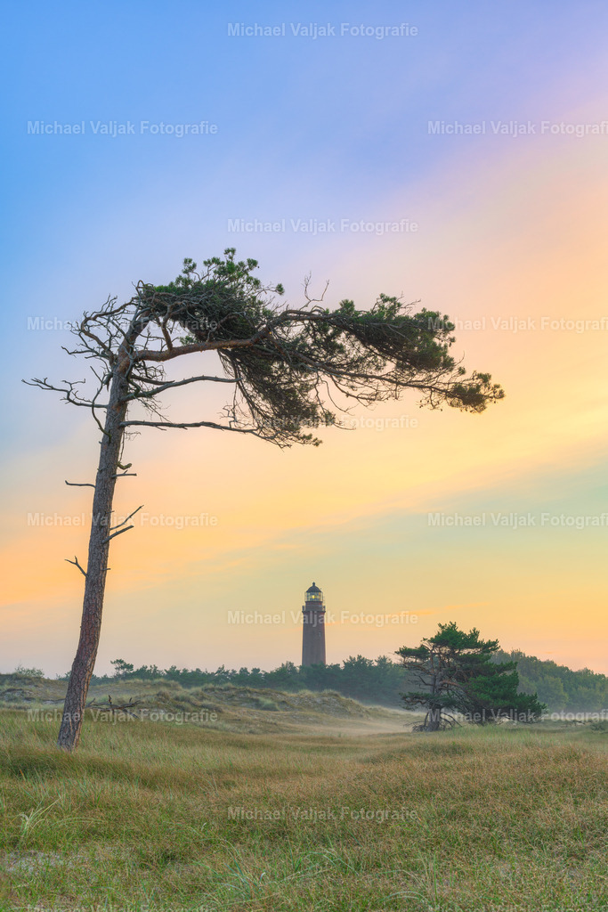 Windflüchter beim Leuchtturm Darßer Ort | Die Windflüchter beim Leuchtturm Darßer Ort sind beeindruckende Zeugen der Kraft der Natur. Sie sind Bäume, die vom ständigen Wind so geformt wurden, dass sie sich in Richtung des Festlandes neigen. Der Leuchtturm Darßer Ort ist ein historisches Bauwerk, das seit 1848 den Schiffen auf der Ostsee den Weg weist. Er liegt inmitten des Nationalparks Vorpommersche Boddenlandschaft, einem Schutzgebiet für seltene Pflanzen und Tiere. Die Windflüchter und der Leuchtturm bilden zusammen ein malerisches Motiv, das viele Besucher und Fotografen anzieht. - Realisiert mit Pictrs.com