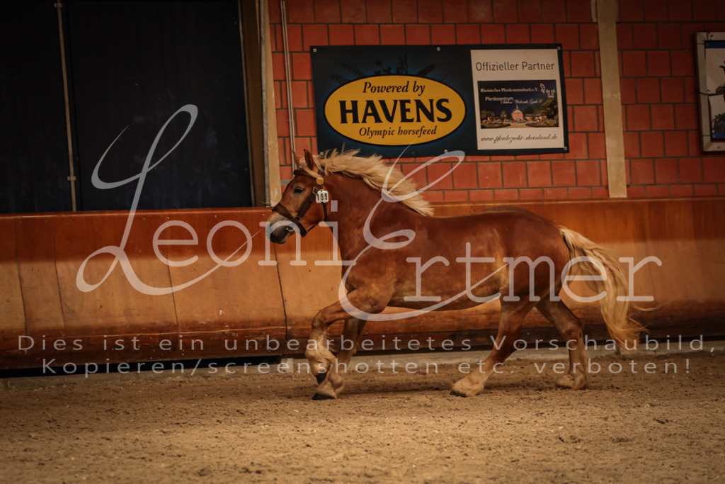 SaFL00414 | Leoni Ertmer Photography - Realisiert mit Pictrs.com