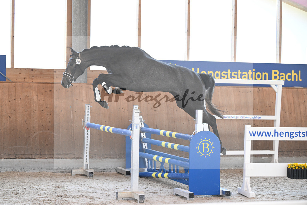 Kat-Nr. 45 Geyers Casa Blanca v. Chacoolou PS_Geyer_14261825 | hf-fotografie - Realisiert mit Pictrs.com