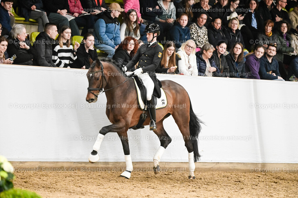 20260307_Hengstvorstellung-Marbach_0350 | equistock