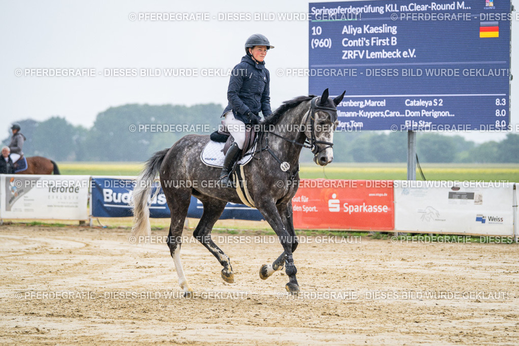 DSC01528 | Pferdegrafie