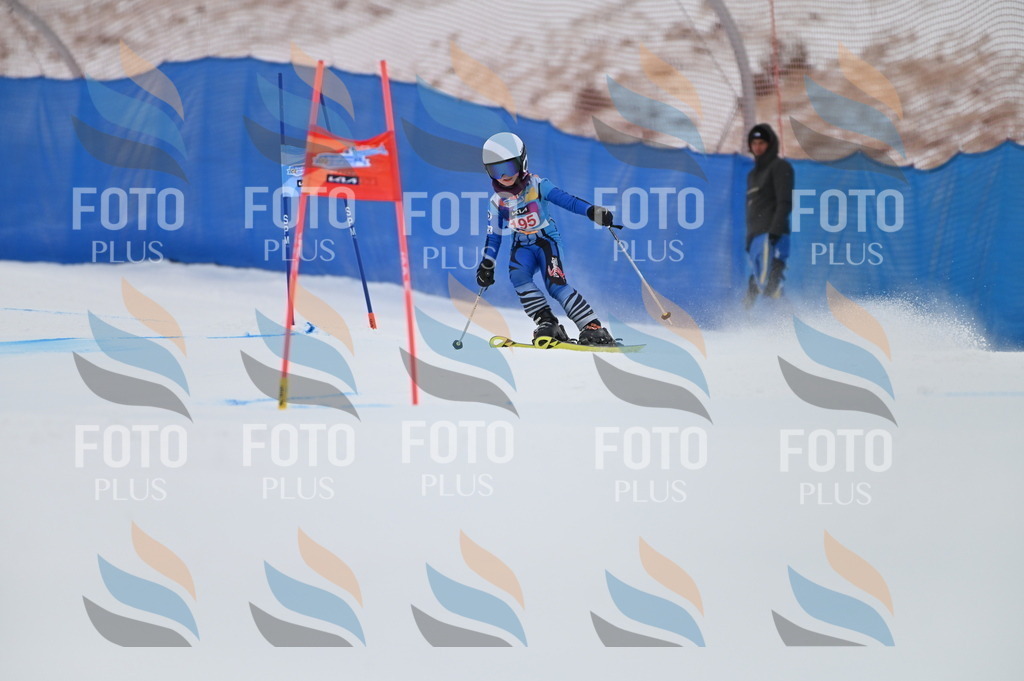 BGV_1648 | holidayphoto