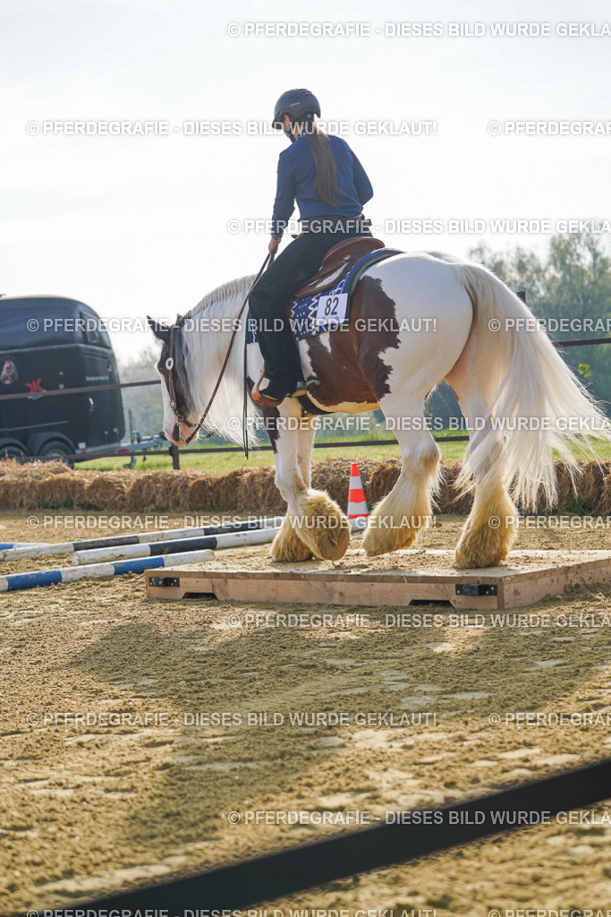 DSC00881 | Pferdegrafie