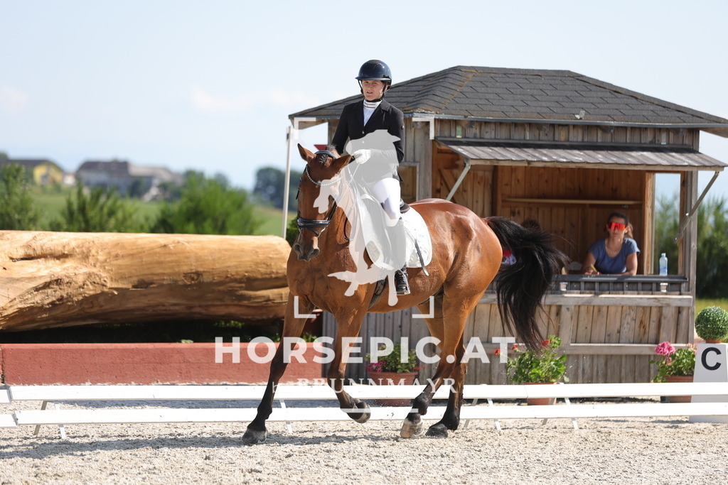 0P6A8032 | Willkommen bei Brunnmayr - Design & Fotografie – Ihrem Spezialisten für Reitturniere und Pferdeveranstaltungen in Oberösterreich, Salzburg und Bayern! Seit über 17 Jahren sind wir leidenschaftlich dabei.