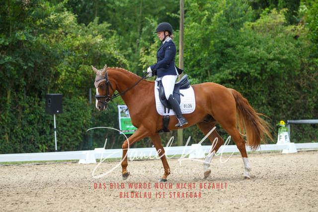 DKP40496 | Turniersportfotografie; Pferdefotografie; Dressurfotografie