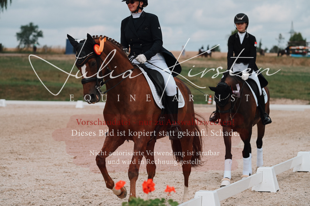 DSC_4138 | Pferde- und Turnierfotografie in Westsachsen. Pferdeportraits, Auftragszeichnungen und intuitive Kunst.