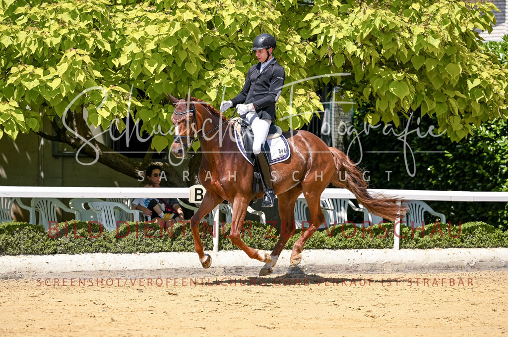 Schugtsche-Aluta25-49.Dressurpferdeprf.A-231 | Schugtsche Fotografie - Realisiert mit Pictrs.com