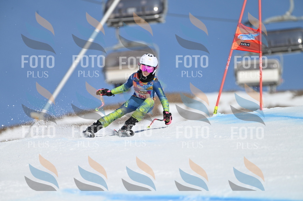 BGV_9247 | holidayphoto