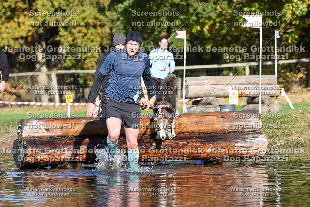 Dog Paparazzi - Strongdog 10-25-8826 | Dog Paparazzi Jeanette Grottendiek Fotografie & Videografie - Realisiert mit Pictrs.com