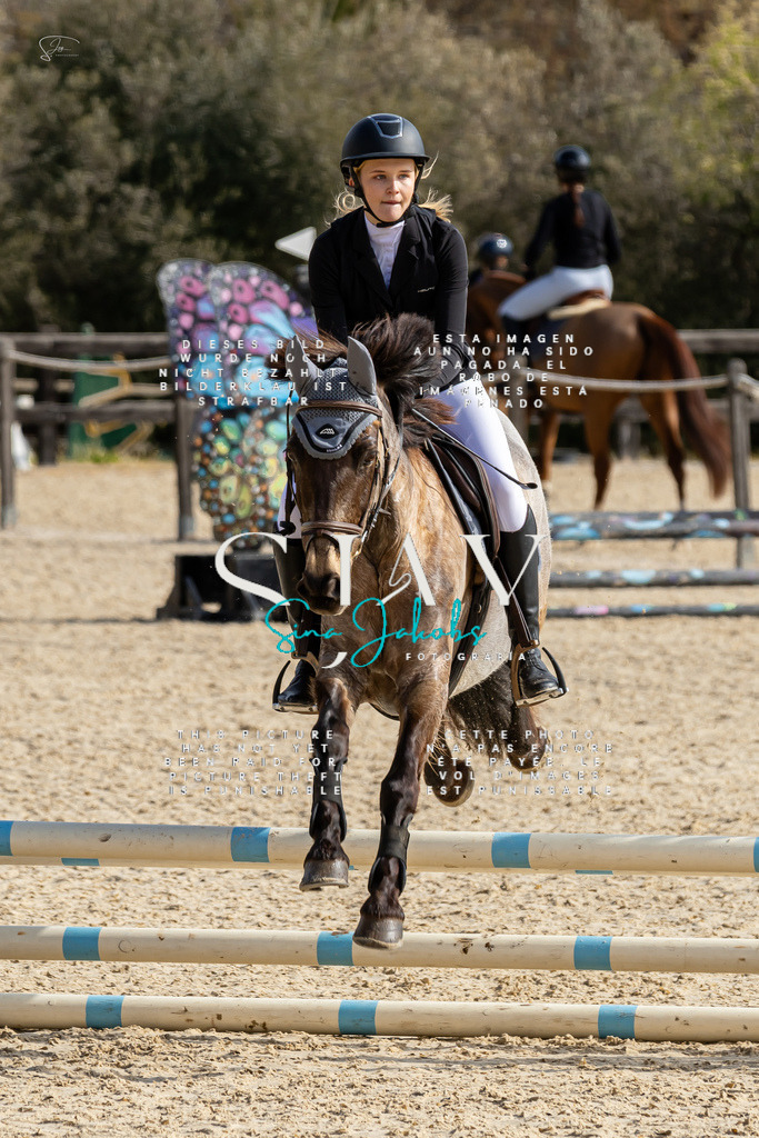 IMG_4254 | s-jay-photography - Realisiert mit Pictrs.com