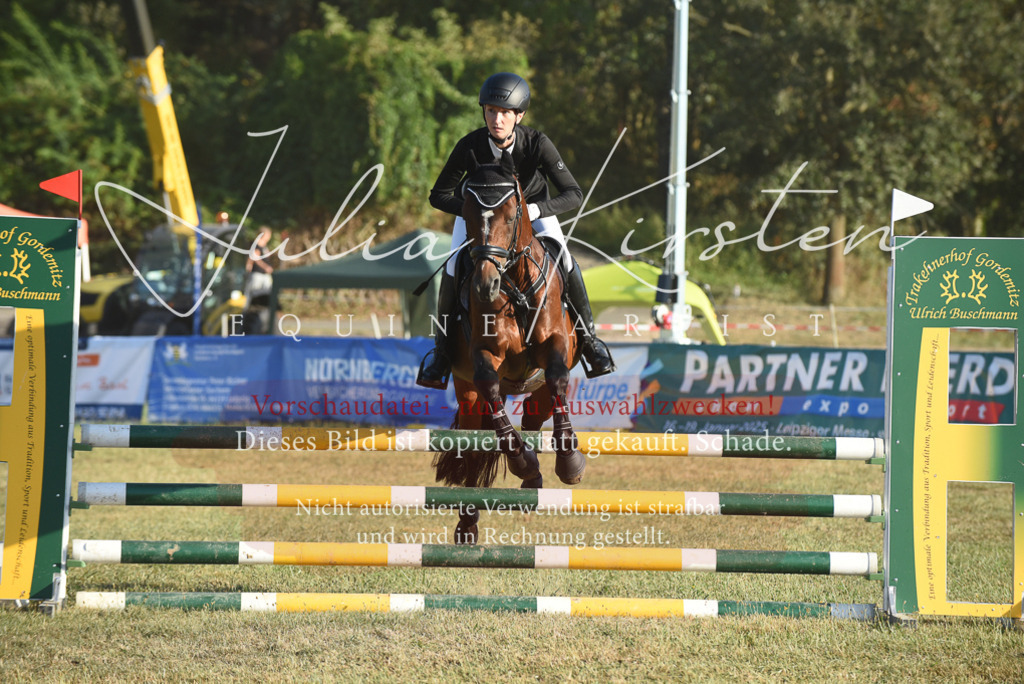 DSC_4923 | Pferde- und Turnierfotografie in Westsachsen. Pferdeportraits, Auftragszeichnungen und intuitive Kunst.