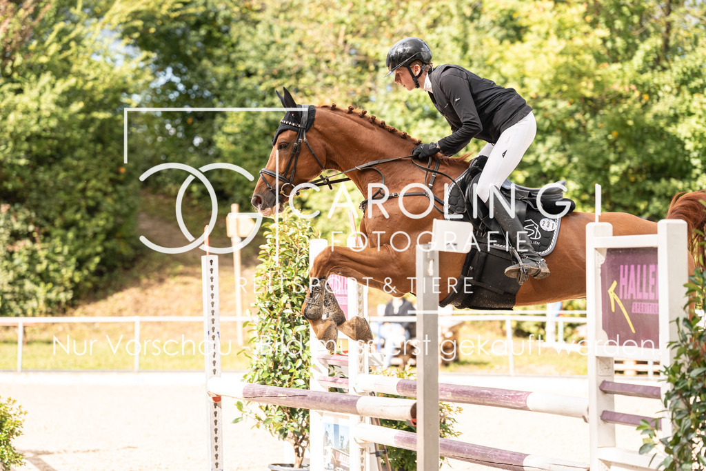 DSC03507 | Carolin Gieschke