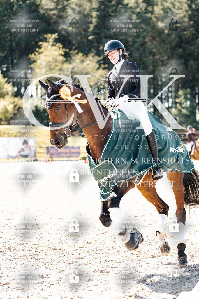 CK904270 | Turnierfotografie Pferdefotografie Trier Rheinland-Pfalz Pferdesport Reitsport Tierfotografie Sportfotografie Pferdevideo Pferdevideografie Equestrianvideography equestrianphotography  - Realisiert mit Pictrs.com
