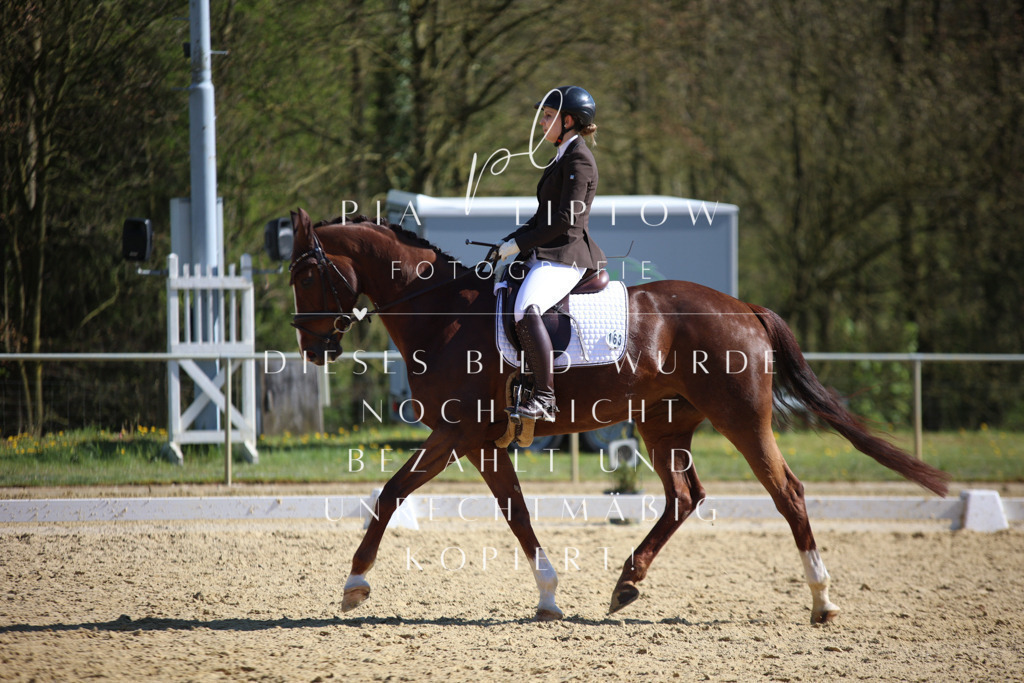 IMGT8623 | pl-fotografie