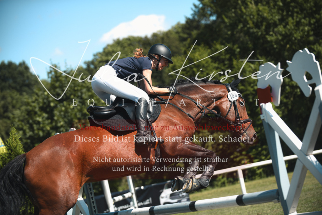 DSC_7232 | Pferde- und Turnierfotografie in Westsachsen. Pferdeportraits, Auftragszeichnungen und intuitive Kunst.