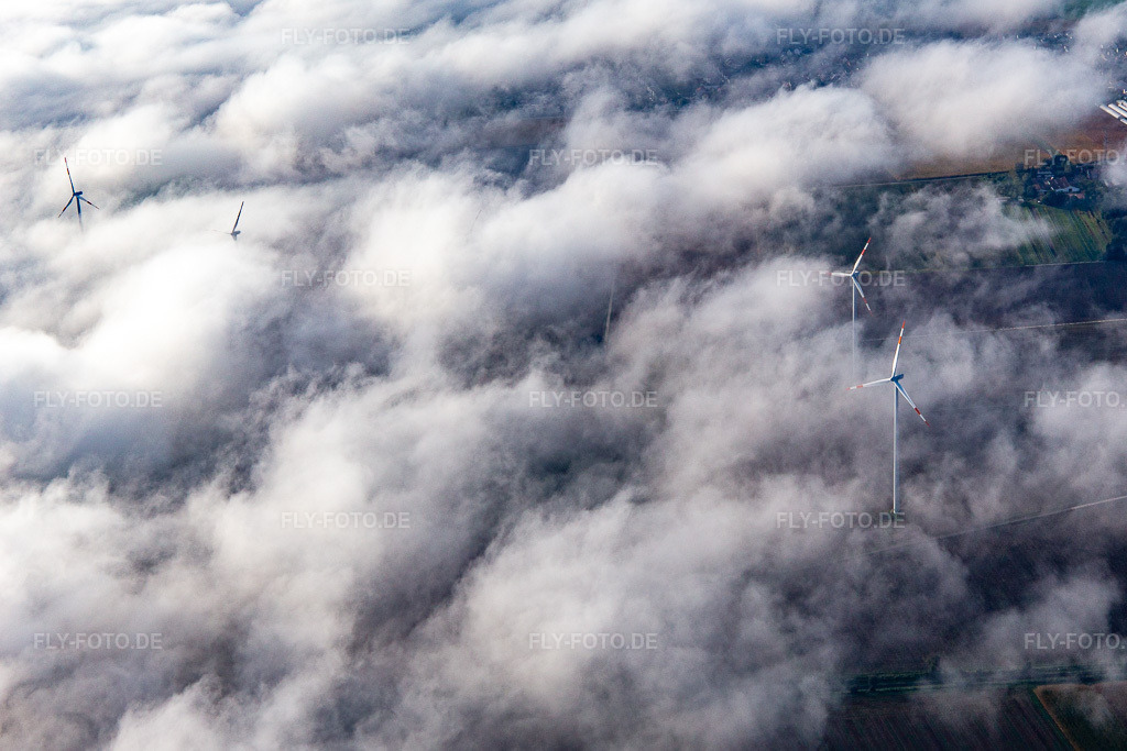 Luftbild: Windpark bei Minfeld teilweise in Wolken in Minfeld im Bundesland Rheinland-Pfalz in Deutschland. Foto: IMG_143446.jpg vom 29.09.2024 durch Werner Riehm/FLY-FOTO.de