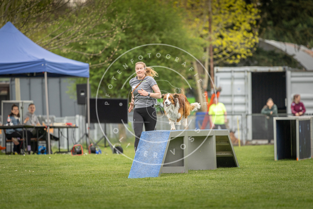 Pfotenfotografie_DV3A1026 | Hundefotografie, Tierfotograf, Pfotenfotografie, Fotoshooting Hund, Hunde Portrait, Hundesport, Hundeportraits, Heideshooting, Hunde, Sportfotograf, Hundefotograf, Turnierhundsport, THS,  - Realisiert mit Pictrs.com