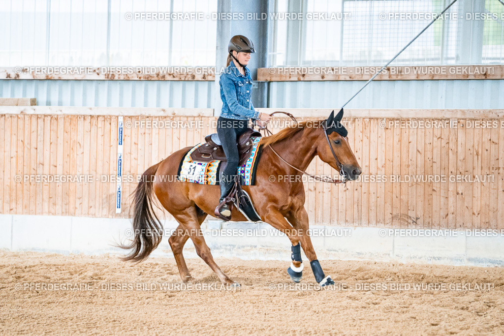 DSC09447 | Pferdegrafie