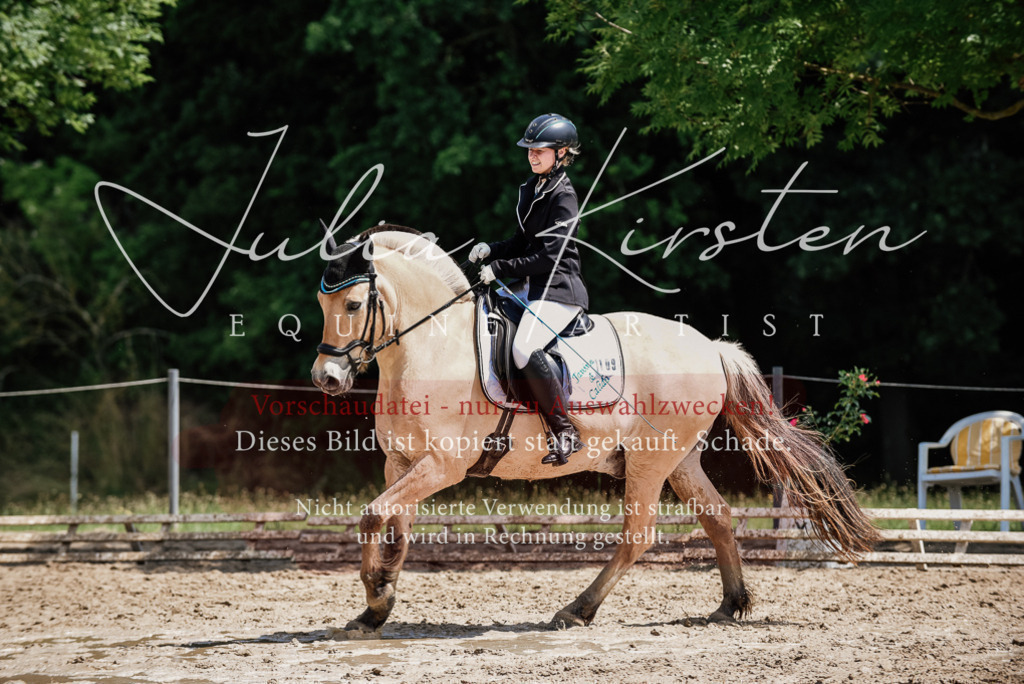 DSC_1687 | Pferde- und Turnierfotografie in Westsachsen. Pferdeportraits, Auftragszeichnungen und intuitive Kunst.