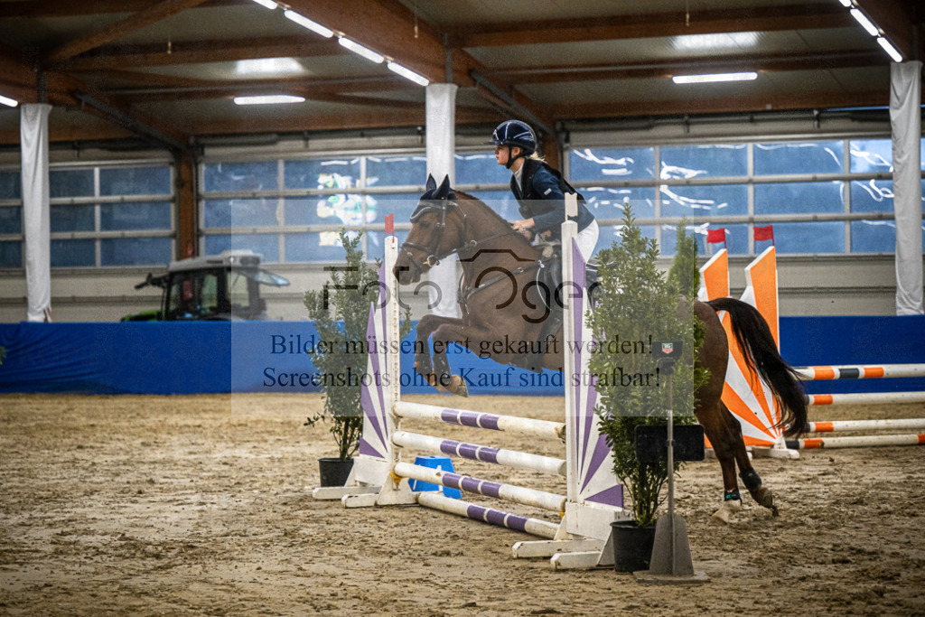 DOS_0575 | Entdecke hochwertige Reitturnierfotos von Foto Oger. Professionell, emotional und authentisch – jetzt Lieblingsmomente im Shop bestellen.Deutschlandweite Turnierfotografie. - Realisiert mit Pictrs.com
