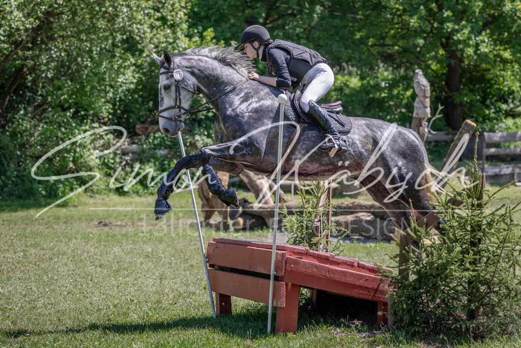 20260523-_3LI8702 | Tierfotografie Pferde, Hunde, Katzen, Haustiere.
Turnierfotografie Reitturniere, Reiten, Springreiten, Dressur in Hanau, dem Main-Kinzig-Kreis und dem Rhein-Main- Gebiet um Frankfurt