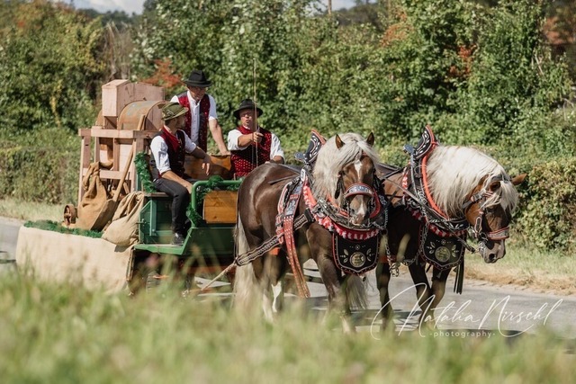 7V6A1820 | natalia-nirschl-photography