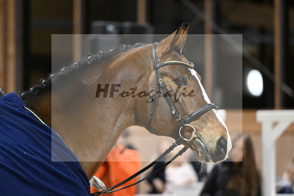 Sanvaro_5251044 | hf-fotografie - Realisiert mit Pictrs.com