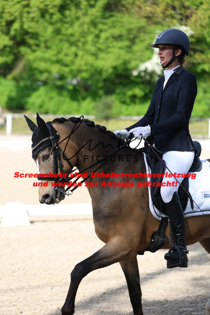 A40A3695 | lmwpictures - Realisiert mit Pictrs.com