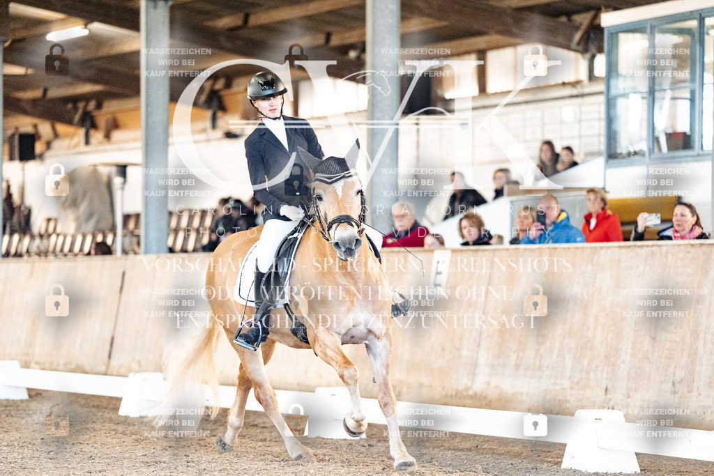 CK907087 | Turnierfotografie Pferdefotografie Trier Rheinland-Pfalz Pferdesport Reitsport Tierfotografie Sportfotografie Pferdevideo Pferdevideografie Equestrianvideography equestrianphotography  - Realized with Pictrs.com