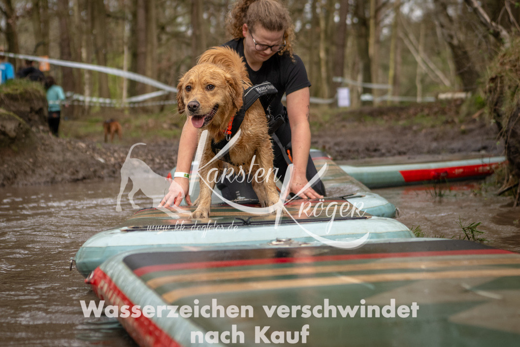 1050_ZZ94798 | kk-dogfotos