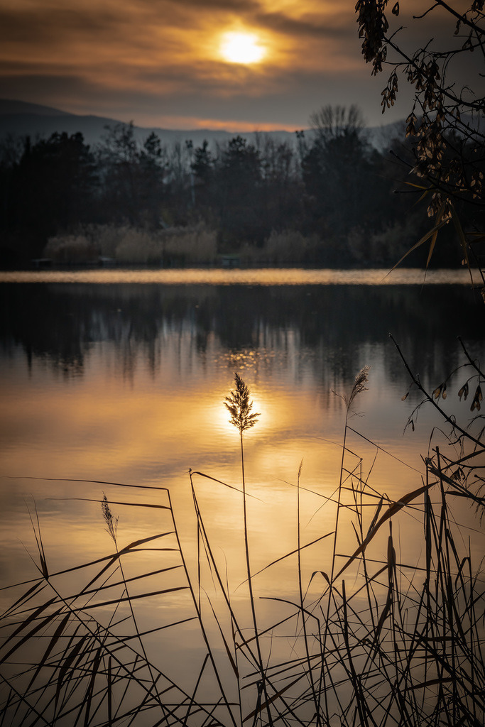 _DSC5011 | sebastiandoebroessy - Realisiert mit Pictrs.com