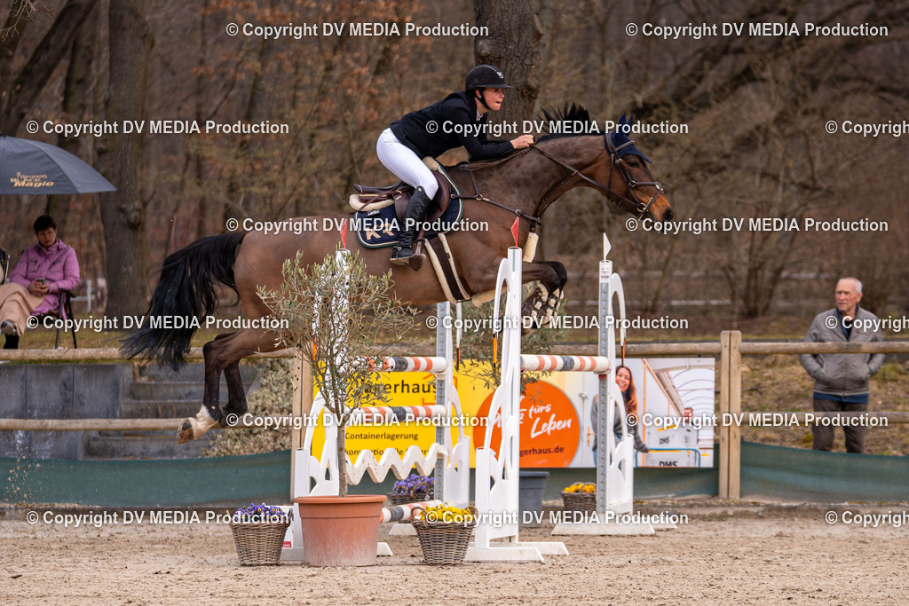 Kranichstein Tag 2-1866 | dv-media-shop - Realisiert mit Pictrs.com