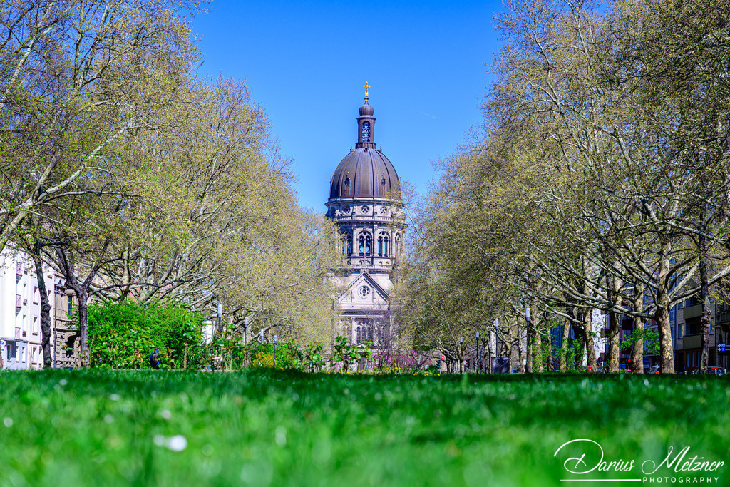 DSC_8319 | Fotografien, Fotos und Bilder aus Mainz, Frankfurt, Wiesbaden und anderen Orten auf der Welt - Fotografiert von Darius Metzner