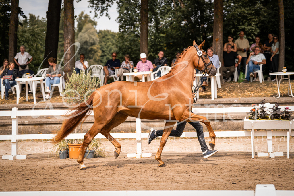 5.Fr00053 | Leoni Ertmer Photography - Realisiert mit Pictrs.com