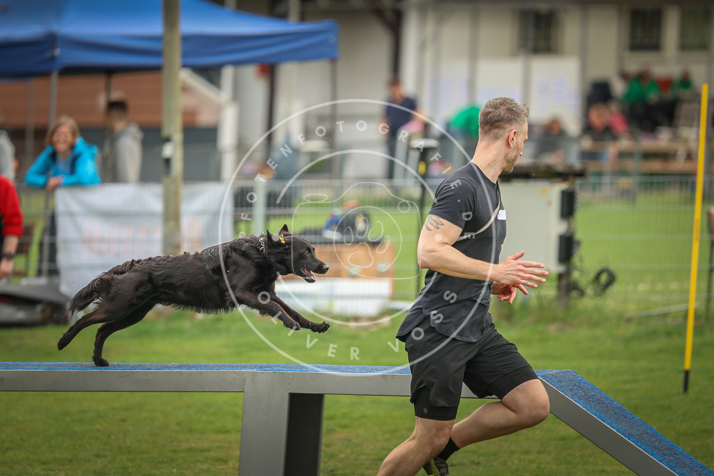 Pfotenfotografie_0L8A1227 | Hundefotografie, Tierfotograf, Pfotenfotografie, Fotoshooting Hund, Hunde Portrait, Hundesport, Hundeportraits, Heideshooting, Hunde, Sportfotograf, Hundefotograf, Turnierhundsport, THS,  - Realisiert mit Pictrs.com