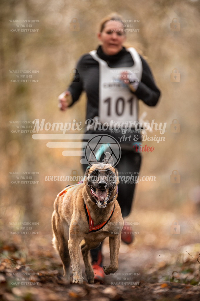 Reiat2023_SON_CaniXRun_5km_W-55 | PayLife