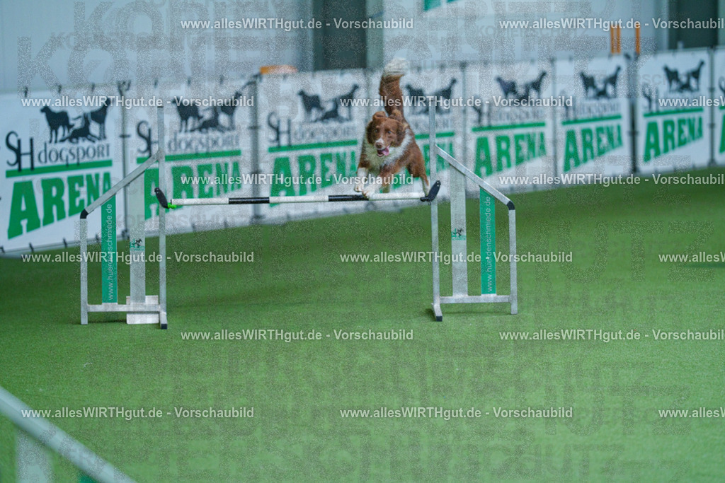 @allesWIRTHgut_Tierfotografie - www.allesWIRTHgut.de - 2604261402-7R503286 | Professionelle Tierfotografie in Mönchengladbach von Daniel Wirth (allesWIRTHgut). Liebevolle & natürliche Bilder von Hunden & Katzen für unvergessliche Erinnerungen.