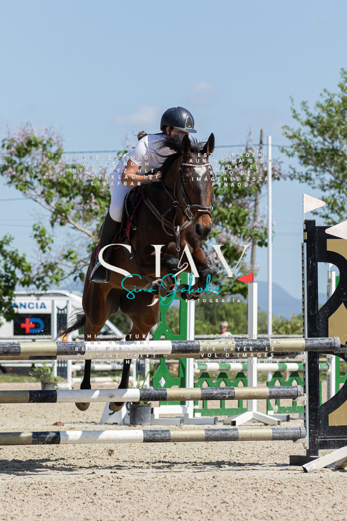 IMG_0684 | s-jay-photography - Realisiert mit Pictrs.com