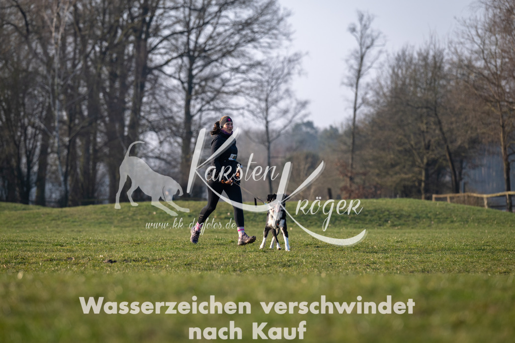 _ZZ92031 | kk-dogfotos