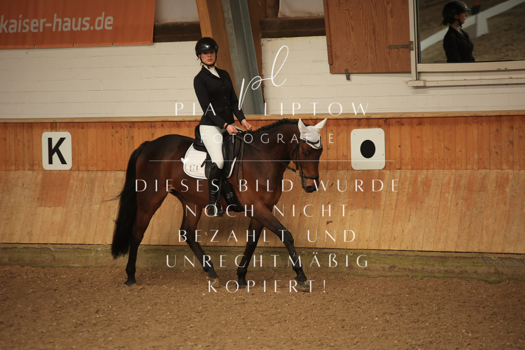 IMGT5378 | pl-fotografie