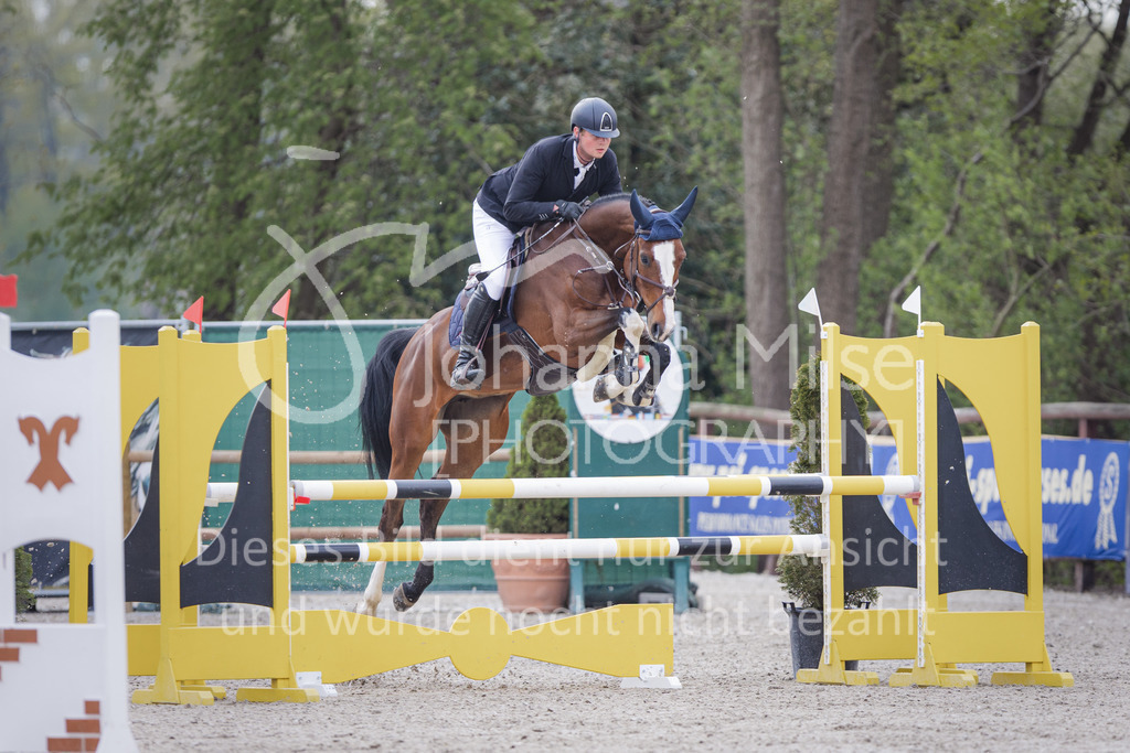 220426_Mühlen_03SprgPf-L-320 | Mühlen Late Entry
26.04.2022
03 Springpferdeprüfung Kl.L 5-7j.