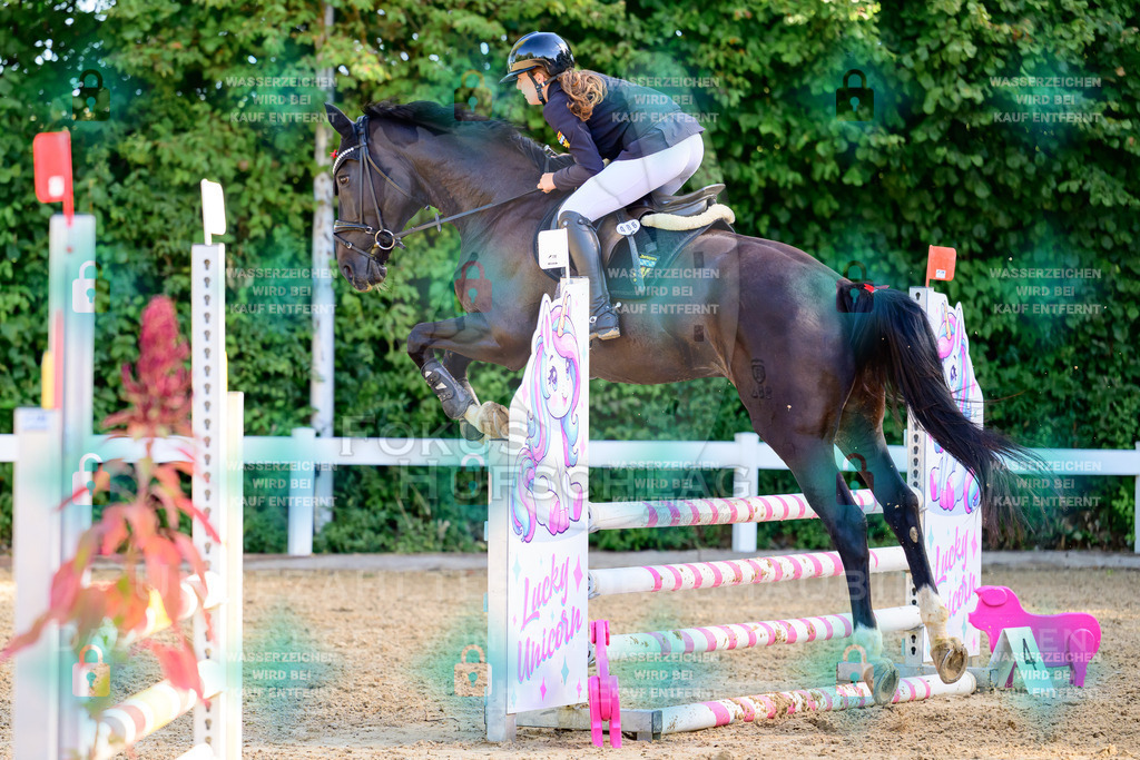30082026-Giesenbach-Prfg16-0148 | Fokus Hufschlag Fotografie - Realisiert mit Pictrs.com