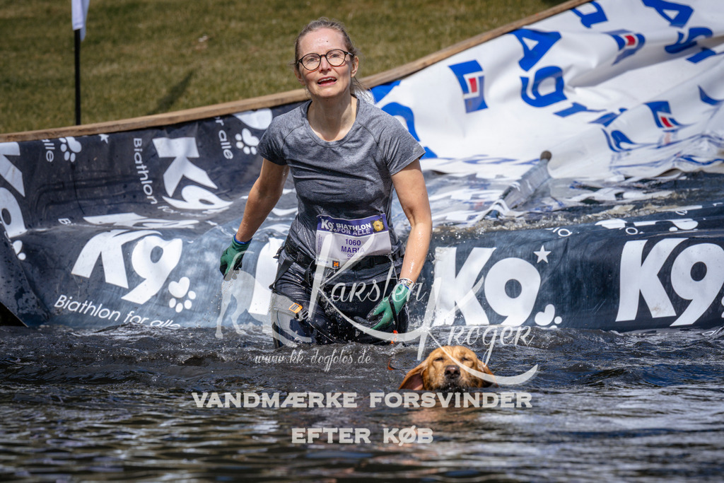 _ZZ941670951 | kk-dogfotos