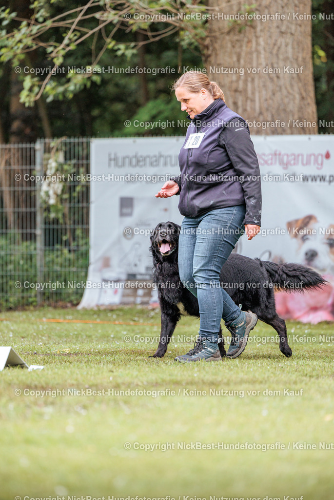 RO-Blumenthal-2026-Nickbest-Hundefotografie-4612 | Dein Hund! Dein Moment! Deine Erinnerungen! Hundefotografie in Bremen Blumenthal. Ich fange die besonderen Momente deines Vierbeiners ein – ob Indoor mit Blitzanlage oder in der freien Natur. Sicher dir dein Moment und dein Termin für eure Erinnerungen.