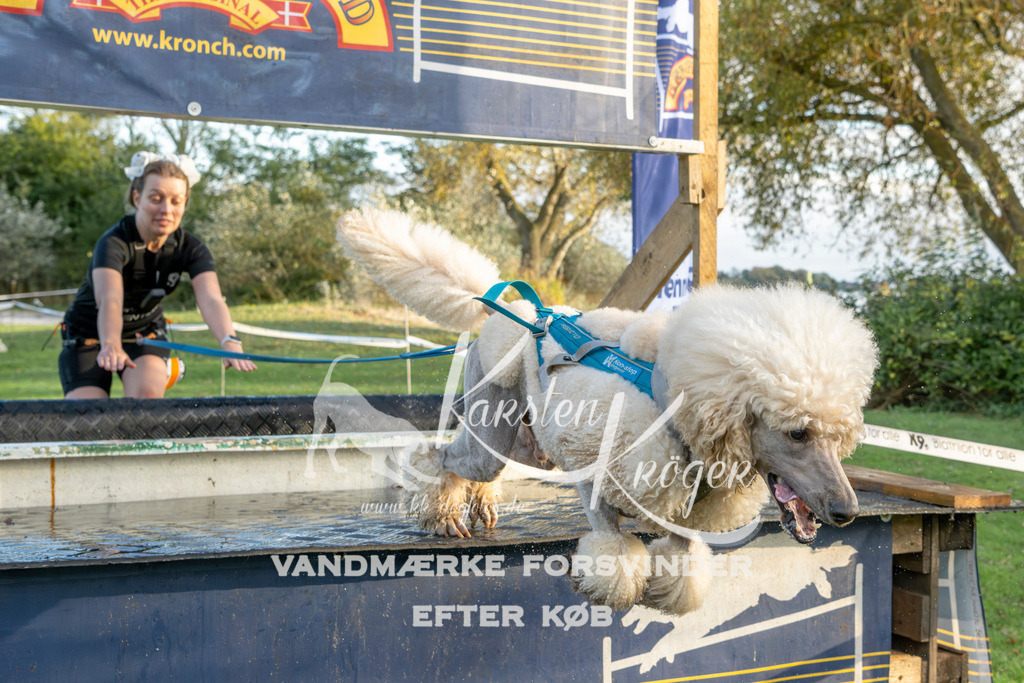 1644_ZZ99038 | kk-dogfotos
