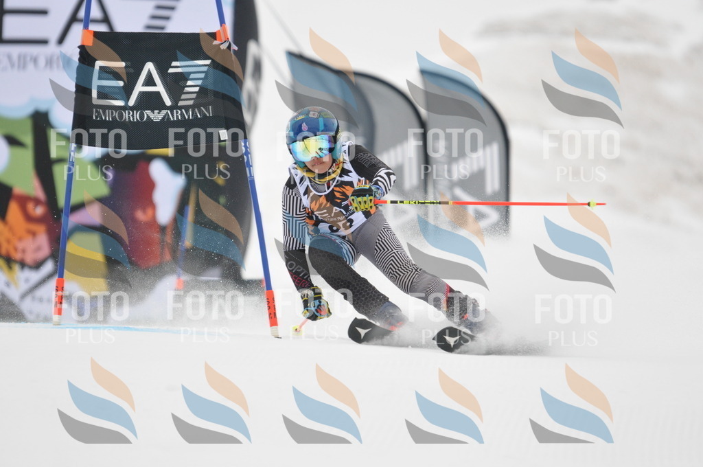 DSC_7956 | holidayphoto