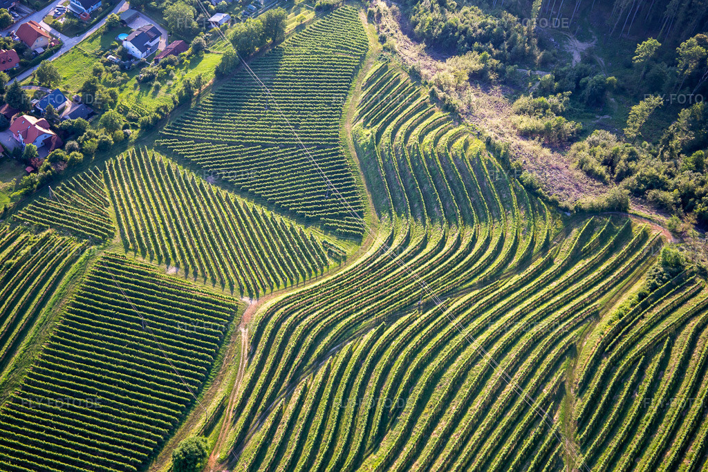 Luftbild: Muster der Rebzeilen von Weinbergen am Vurberg im Ortsteil Vurberk in Duplek im Bundesland Slowenien in Slowenien. Foto: IMG_137365.jpg vom 08.07.2023 durch Werner Riehm/FLY-FOTO.de