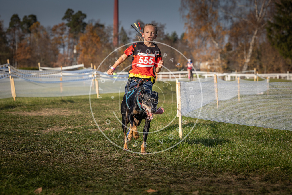CaniXpix_0L8A9131 | Hundefotografie, Tierfotograf, Pfotenfotografie, Fotoshooting Hund, Hunde Portrait, Hundesport, Hundeportraits, Heideshooting, Hunde, Sportfotograf, Hundefotograf, Turnierhundsport, THS,  - Realisiert mit Pictrs.com