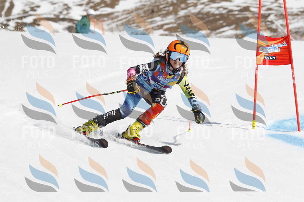 _U3G0298 | holidayphoto